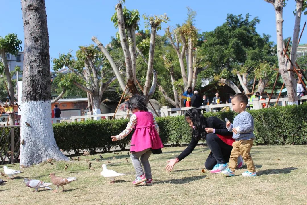 厦门鼓浪屿三日两夜亲子游,厦门鼓浪屿旅游一家三口攻略