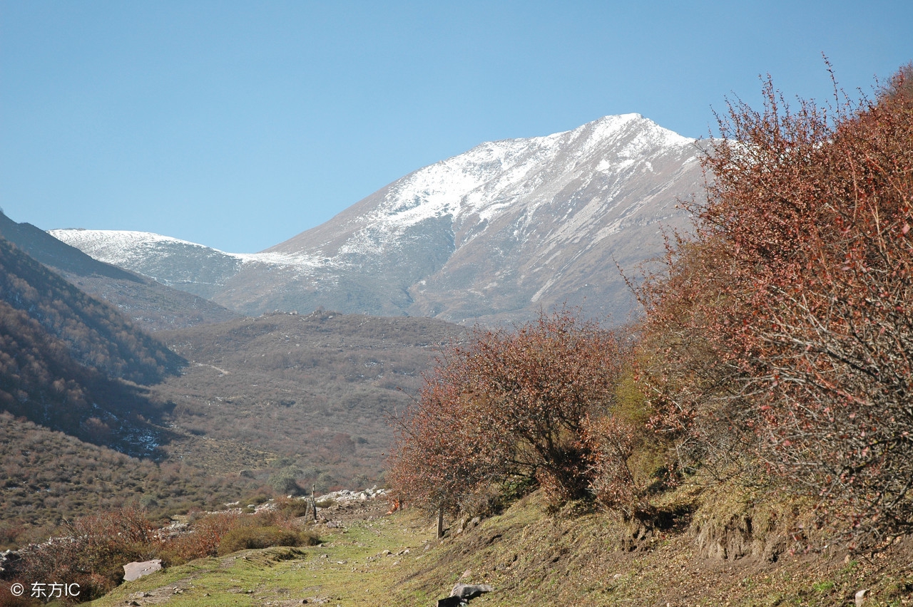 悠悠木渎，流水潺潺，和风拂面，繁花怒放——木渎古镇