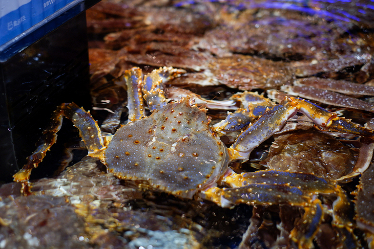 富士X-A5微单评测！不仅能美颜自拍ISO6400感光度画质也很纯净