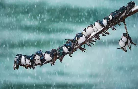 刚拍的你从未见过的集体照,史上最全的集体照