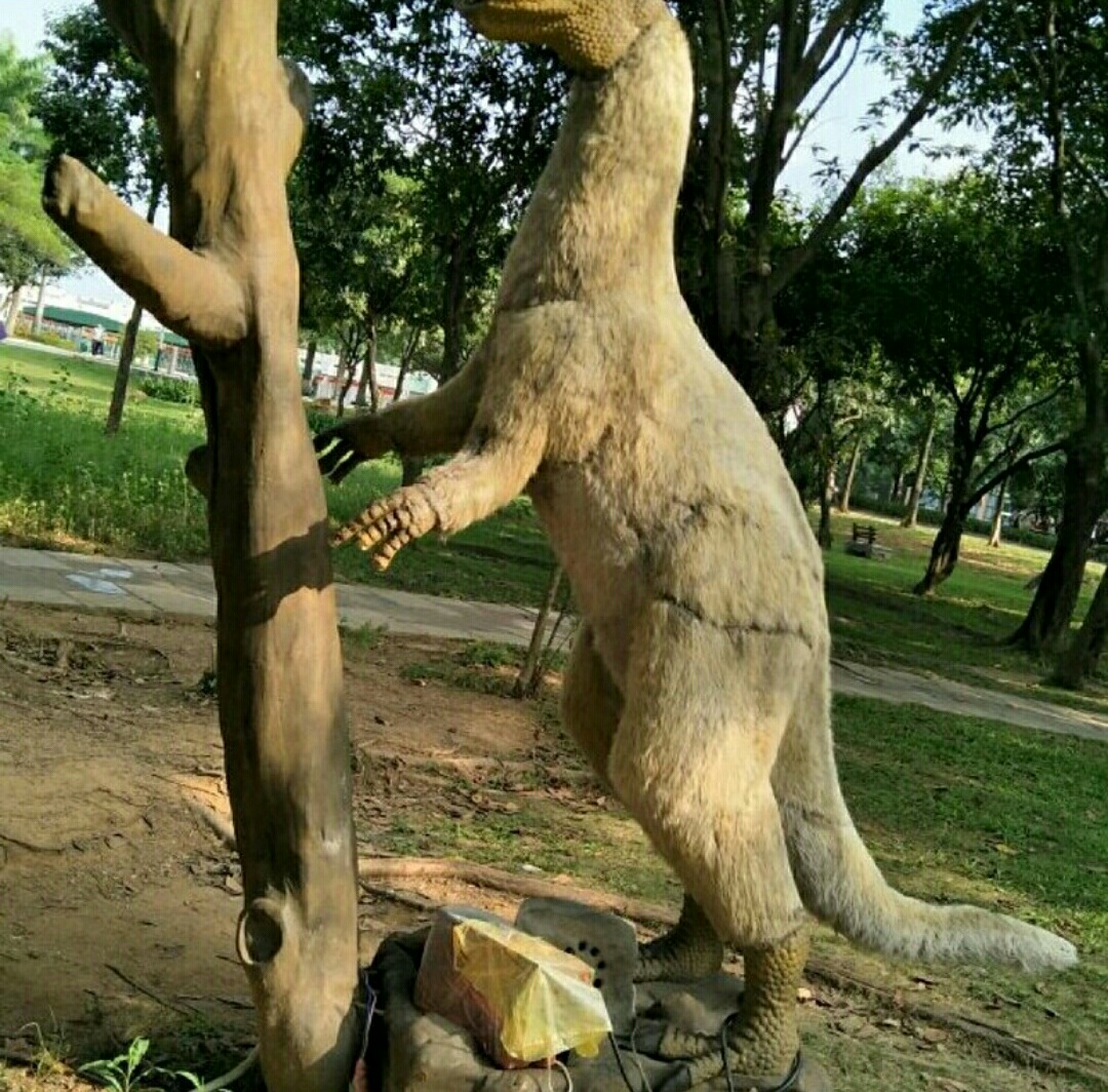 深圳海上田园怎么样,深圳海上田园景区