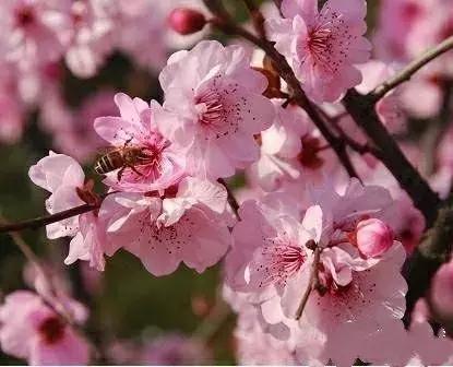 昆明国庆假期自驾游攻略,五一昆明最适合去的地方