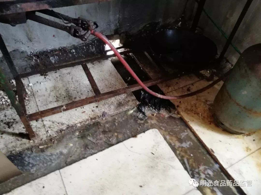 揭秘饭店后厨脏乱差,曝光饭店脏乱差