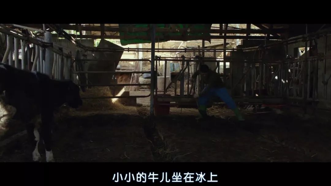 李沧东什么梗,李沧东的燃烧解析