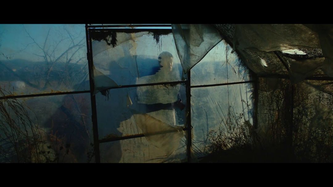 李沧东什么梗,李沧东的燃烧解析