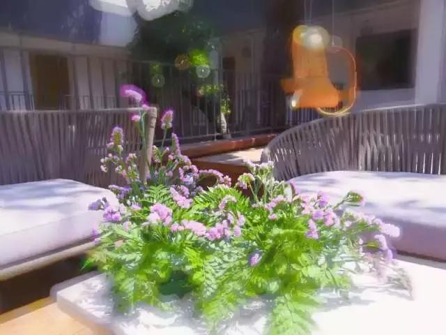 湾流国际——不是市中心的总部基地｜睿和研究