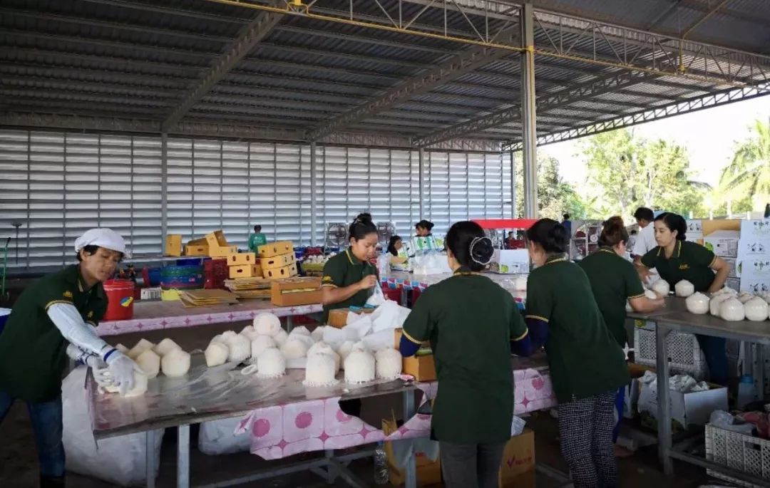 wefresh杭州路演,wefresh金色