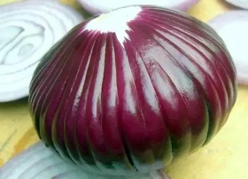 洋葱为什么被称为蔬菜王后,洋葱为什么是蔬菜皇后