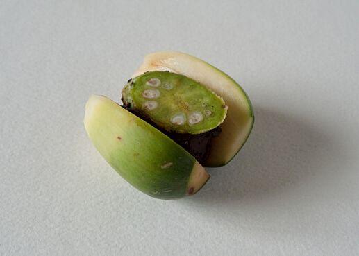 经常吃槟榔会造成什么后果,一直吃槟榔的后果是什么