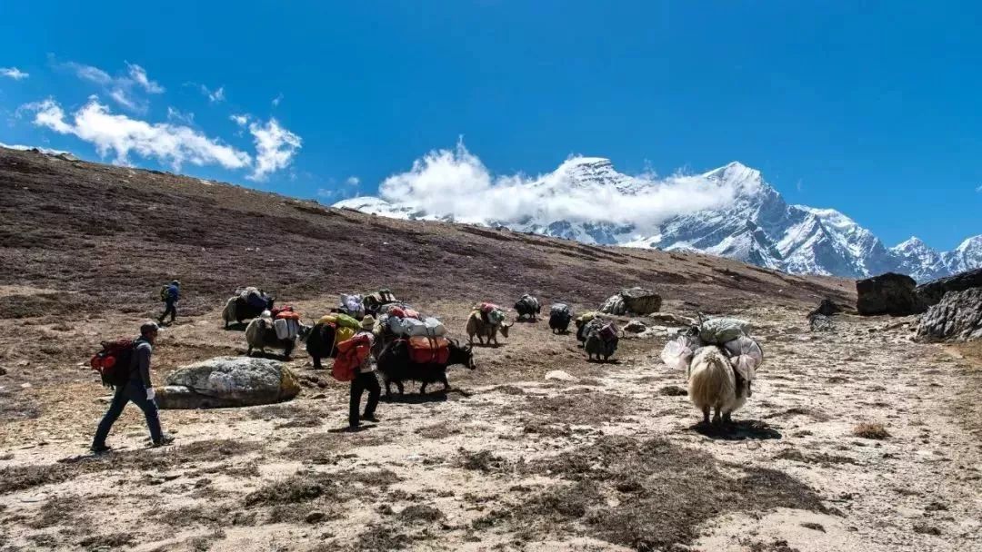 希夏邦马徒步详细路线图,希夏邦马大环线徒步