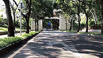 2020款宝马330i曜夜版百公里实测,2020款宝马330im曜夜版落地价