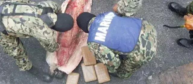 可笑又可怕，为了运毒，他们连小丁丁都不放过