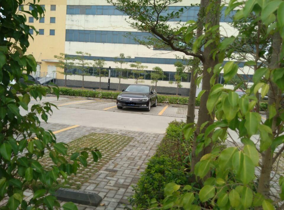 迈腾33030周年的用车感受,迈腾330豪华落地及养车成本