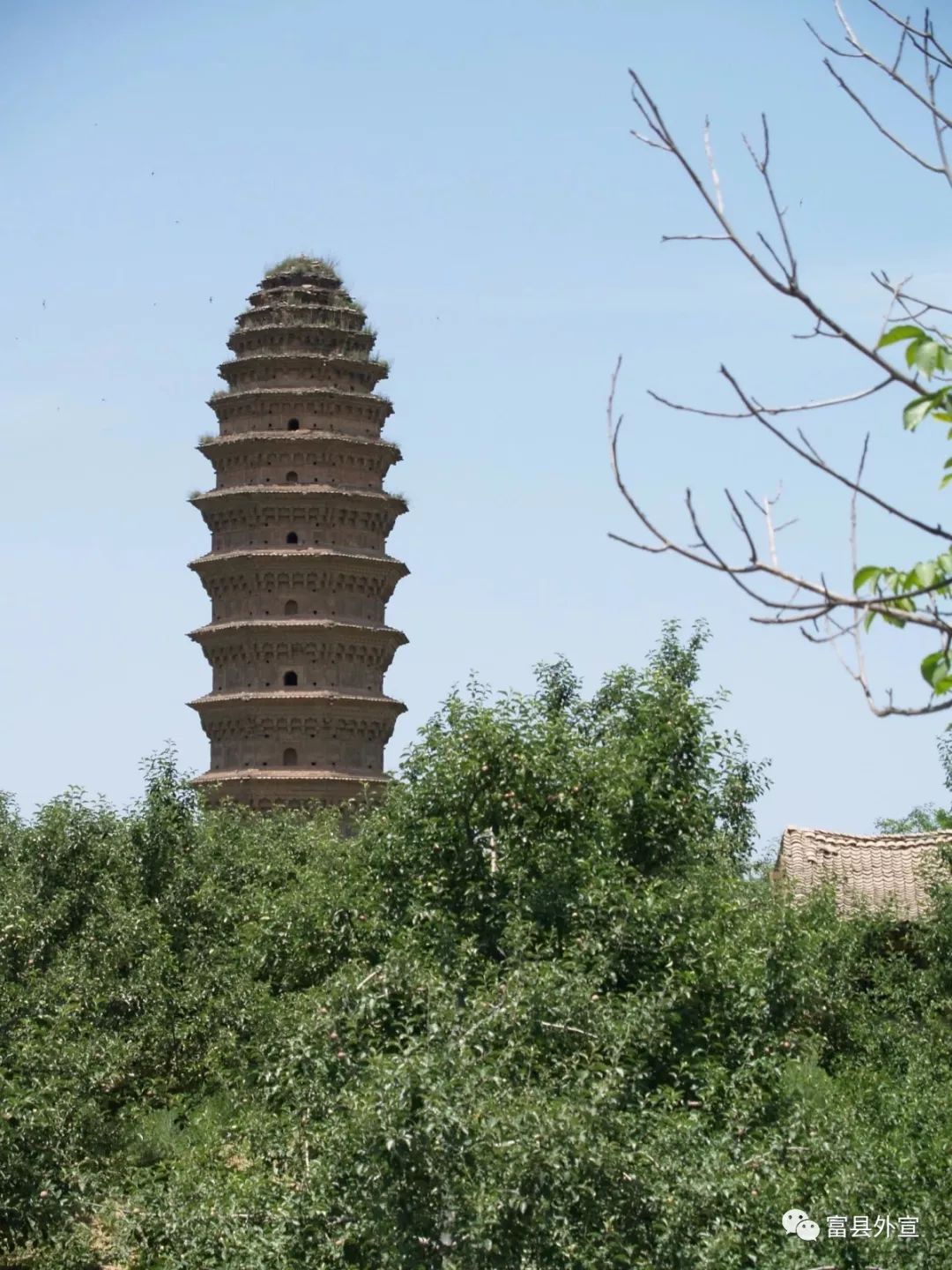 富县与富平是一个地方吗,富县是个好地方手抄报