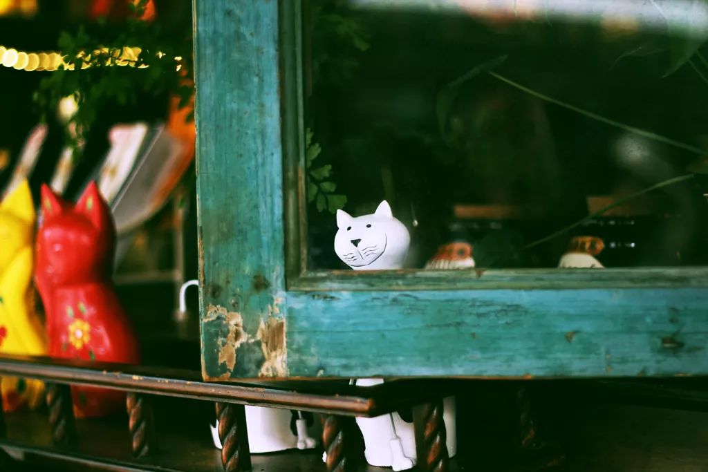 这个夏天我们再邂逅一次厦门吧,这个夏天想跟你再去一次厦门