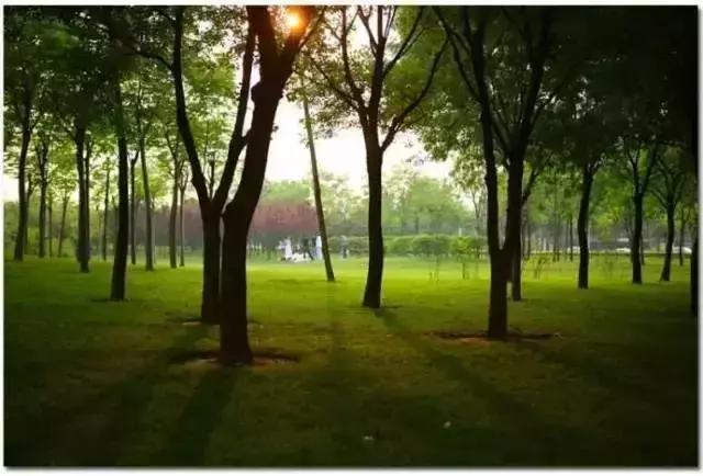 郑州适合夏天玩的旅游景点,郑州夏天旅游景点推荐