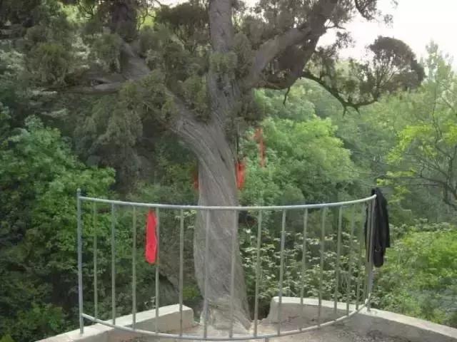 郑州周边夏天好玩的景点,郑州夏天旅游攻略景点必去