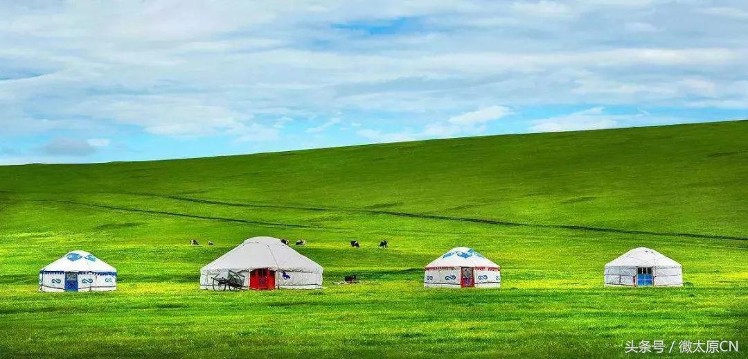 鄂尔多斯高端羊绒衫原创,探索内蒙古草原之旅