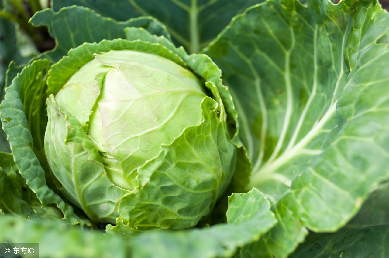 肝癌最严重的四种并发症,晚期肝癌最常见的并发症是什么