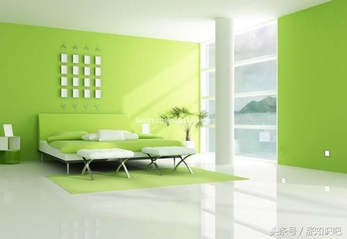 养绿萝的好处有哪些方面,屋里养绿萝都有哪些好处