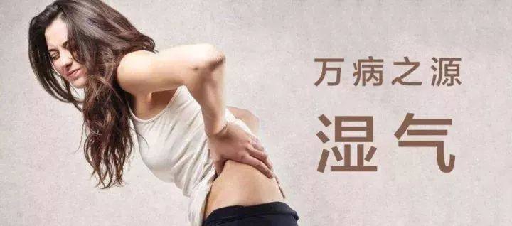 入夏后养生适合喝什么,夏天一杯茶帮你去除陈年寒湿