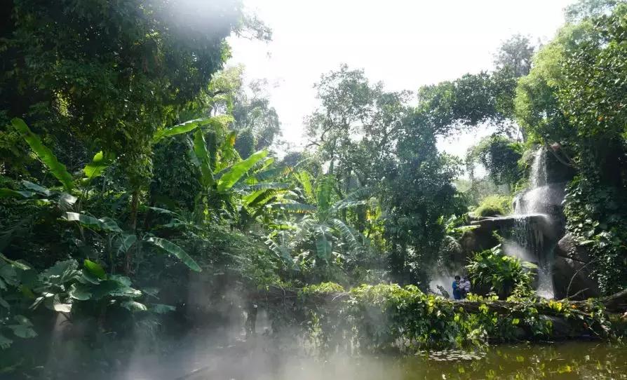 这个夏天总要来一趟浪漫的厦门,这个夏天再和你去一次厦门