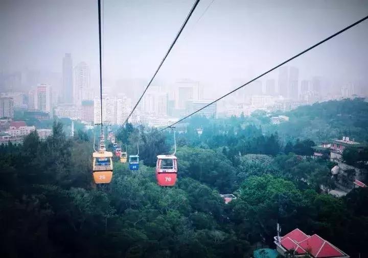 这个夏天总要来一趟浪漫的厦门,这个夏天再和你去一次厦门