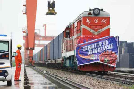 白岩松盘点本届世界杯特殊之处,白岩松谈中国足球比赛