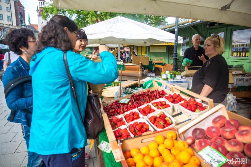 中国游客在德国买水果，12.8欧元1公斤的樱桃直呼真不贵