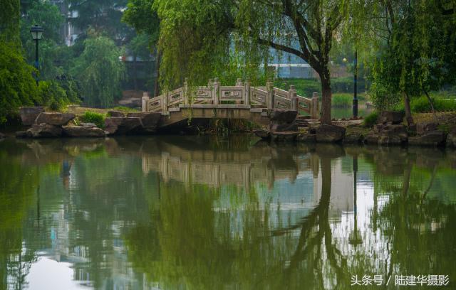 粽情端午南通,粽情端午邻里相约