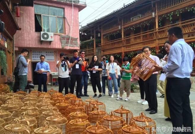 变“手艺”为“受益”！丹寨卡拉村“指尖技艺”带领村民脱贫致富