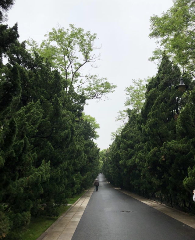晚上在青岛吹着海风吃海鲜,青岛吹着海风吃着烧烤