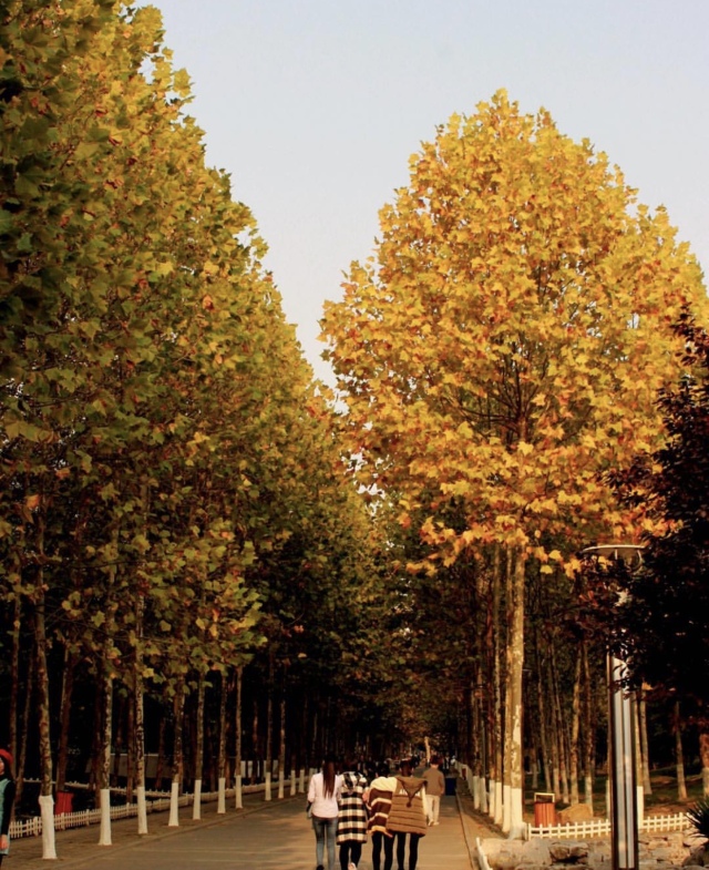 晚上在青岛吹着海风吃海鲜,青岛吹着海风吃着烧烤