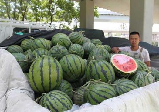 小车坠河10岁男孩,河南轿车下水救人