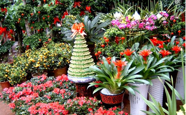 花卉市场买花养不活,花卉市场的这些猫腻