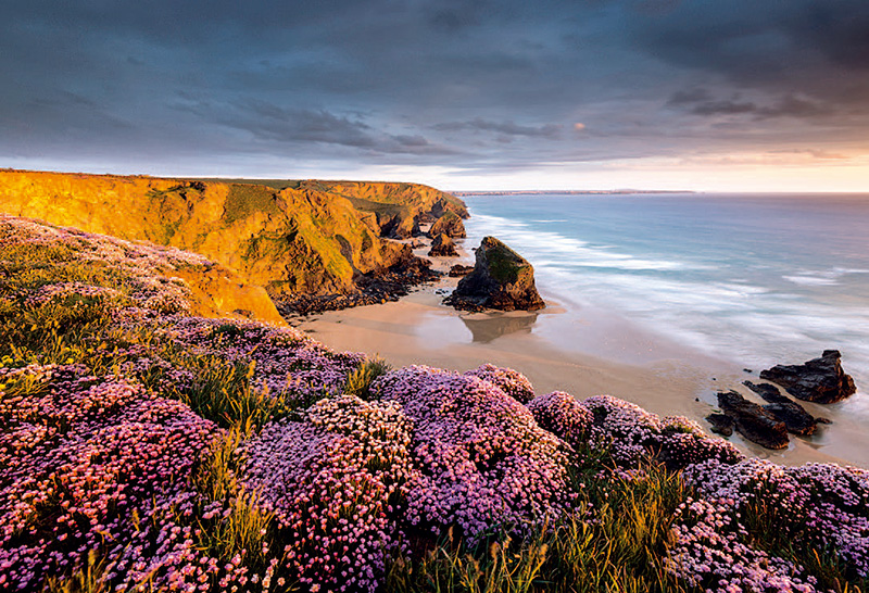 RossHoddinott：我不怕落俗套