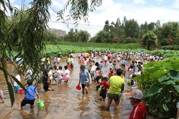 股市的价值,股市的价值指标