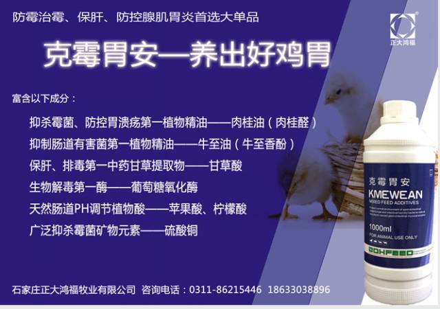 只要一出现栓塞，鸡必然有一个高伤亡