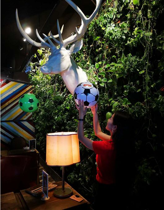 世界杯观赛指南,2022世界杯观赛指南