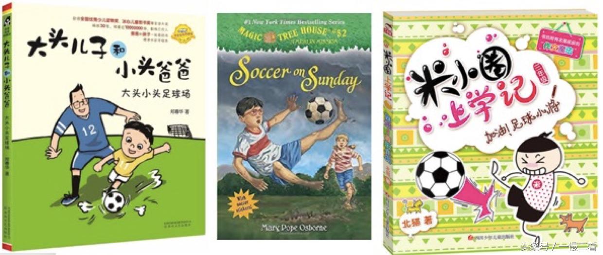 关于足球的书有哪些,世界杯开始了