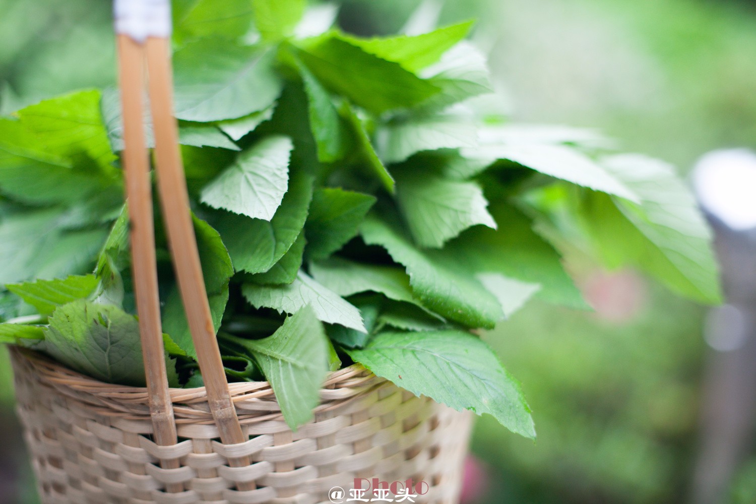 到浙里做美梦-梦的终点在临安