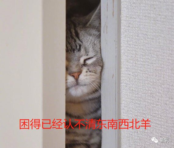 迪丽热巴被p图事件回应,迪丽热巴被p图的视频