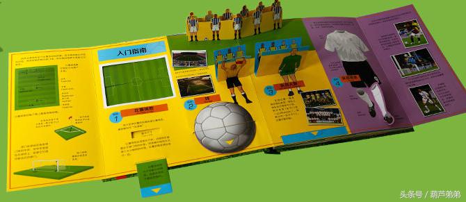 世界杯足球立体书,世界杯知识书