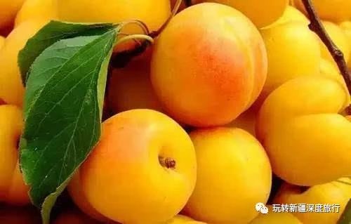 南疆最好吃的瓜果,新疆瓜果什么最好吃又便宜