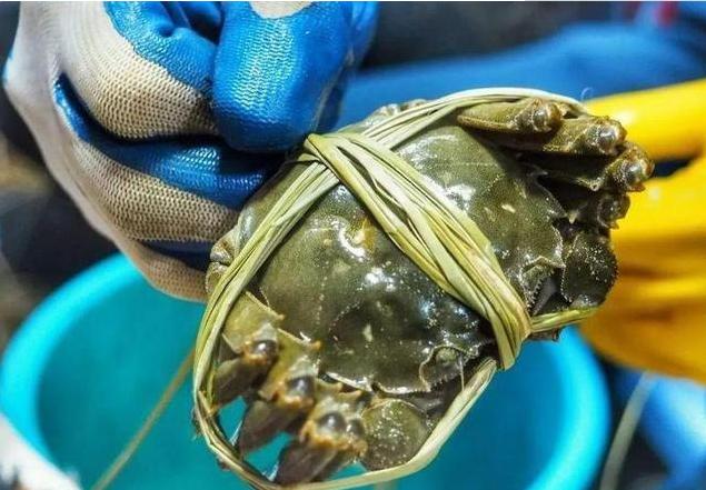 端午节吃什么海鲜比较好,端午海鲜如何选