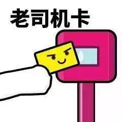 世界杯对话视频,世界杯聊天指南升级版