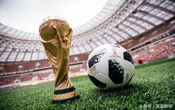 了解世界杯小常识,世界杯十大冷门知识