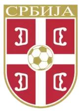 世界杯看球指南全集,球迷必备的世界杯看球指南