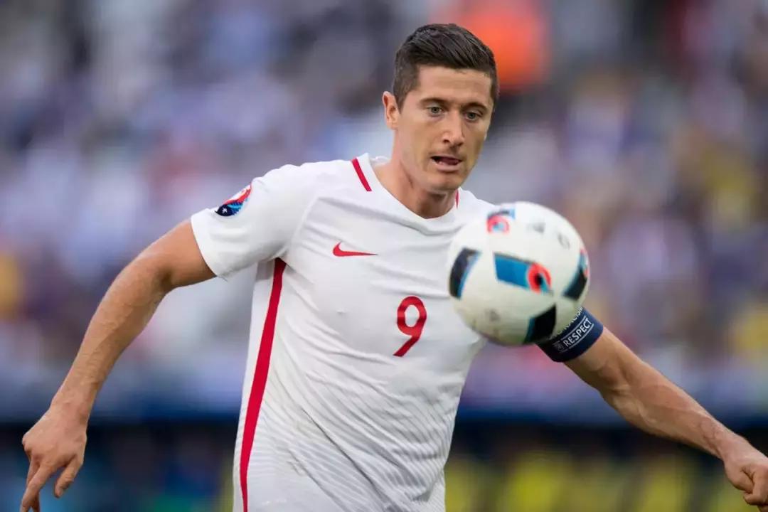 世界杯看球指南全集,球迷必备的世界杯看球指南