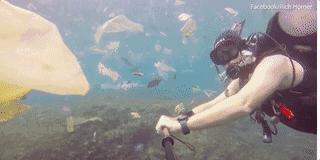 让人震撼的绝美景色,十大绝美景色